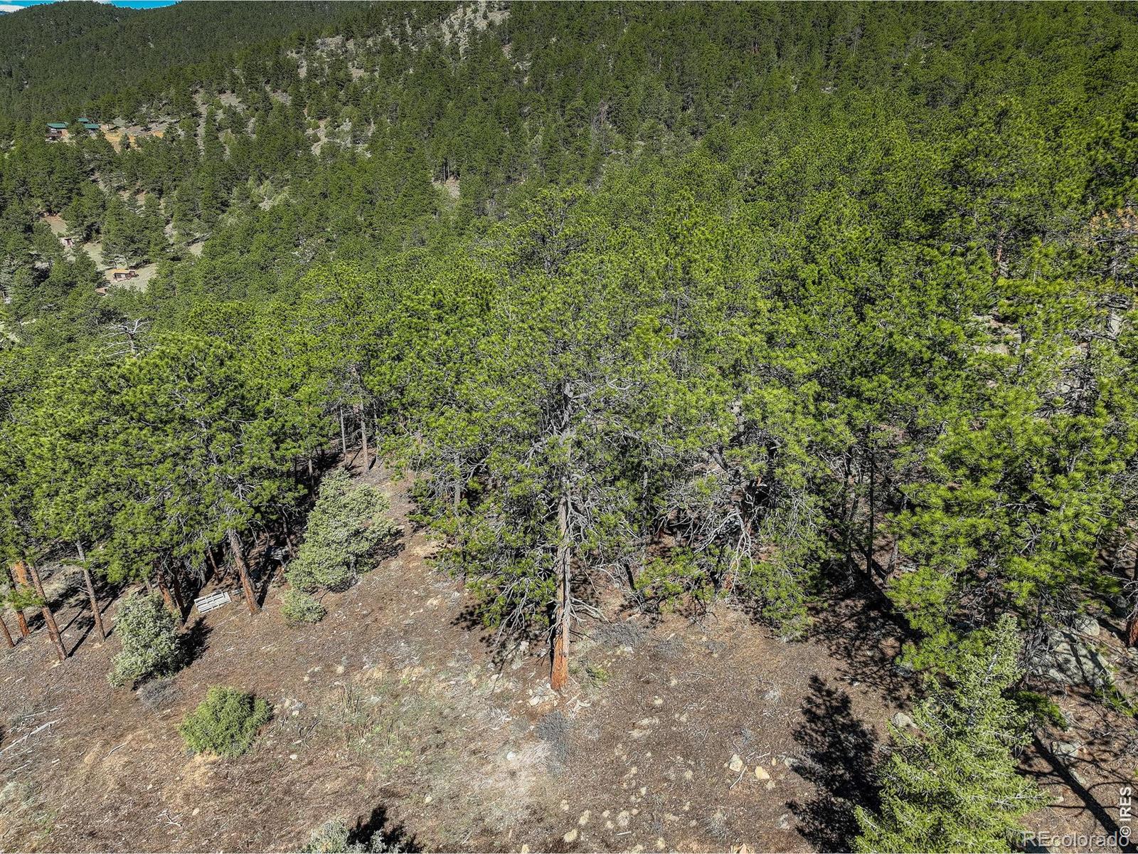 0 Cedar Drive Lyons CO 80540