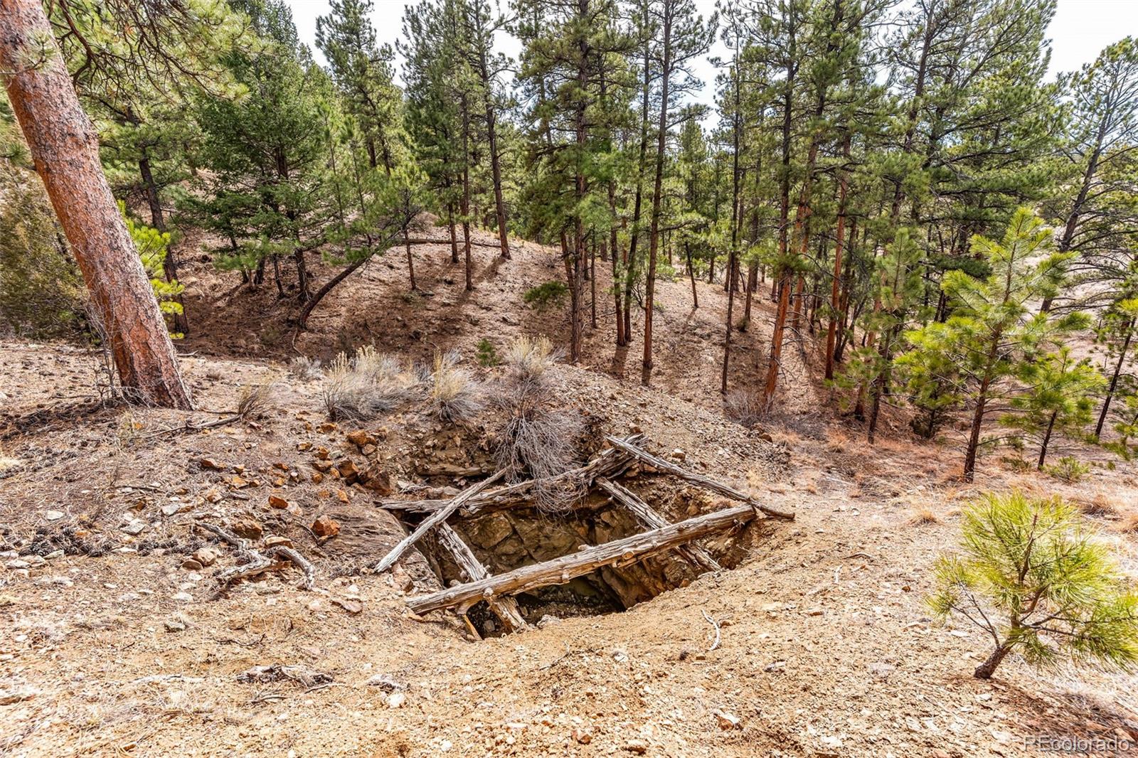 380 Buck Ridge Canon City CO 81212