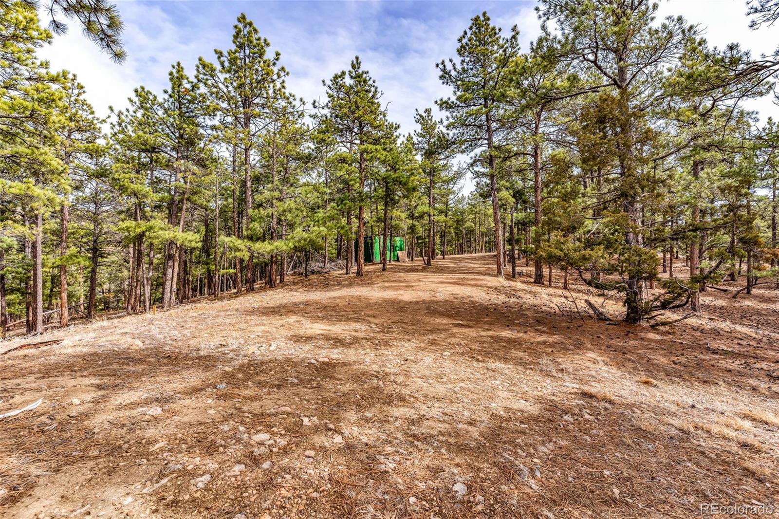 380 Buck Ridge Canon City CO 81212