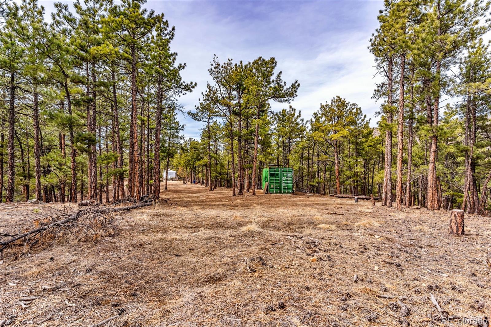 380 Buck Ridge Canon City CO 81212