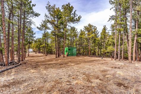 380 Buck Ridge Canon City CO 81212