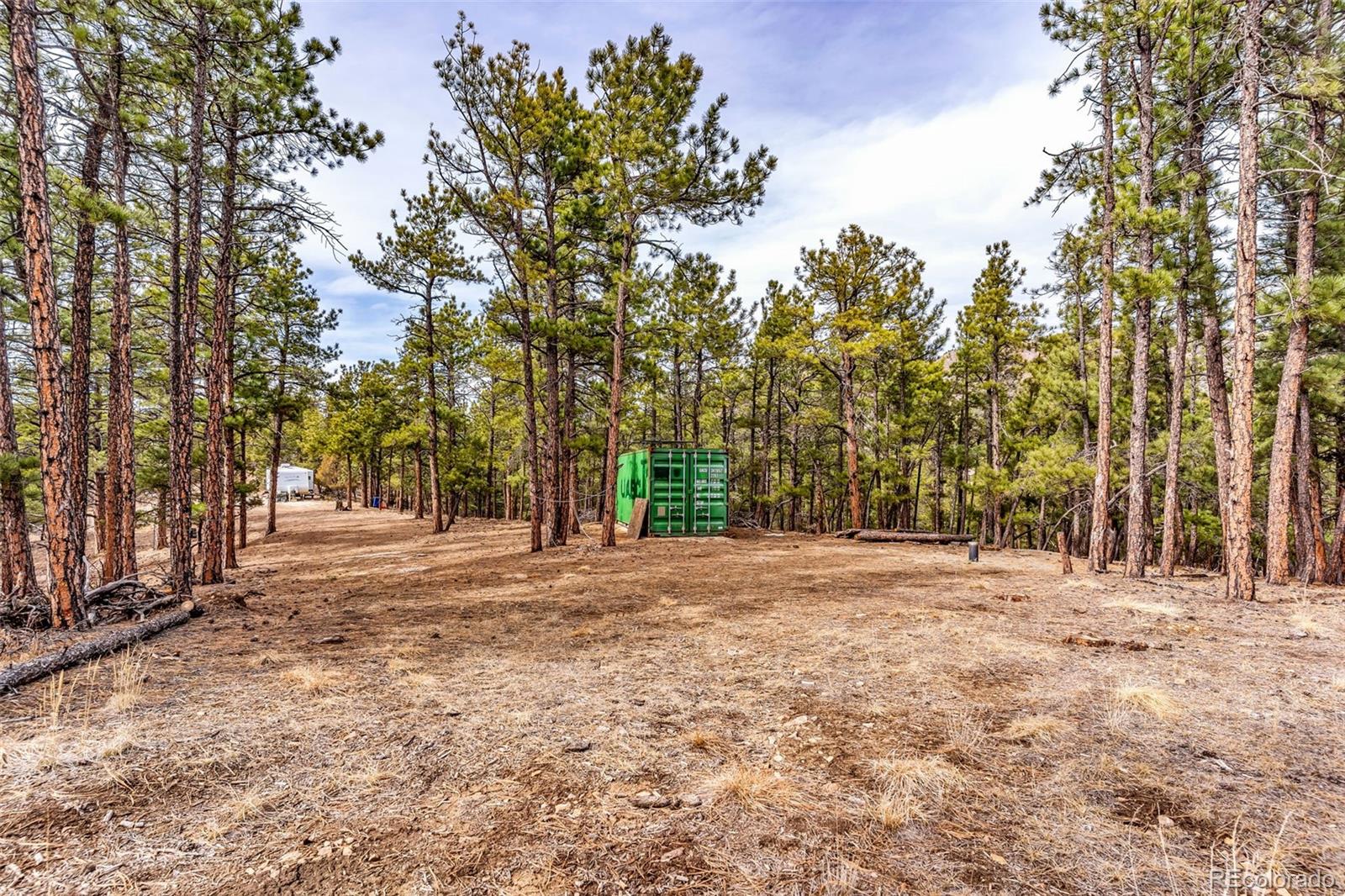 380 Buck Ridge Canon City CO 81212