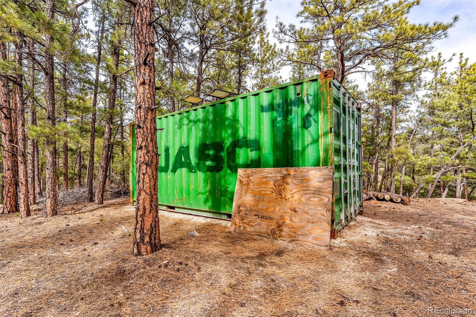 380 Buck Ridge Canon City CO 81212