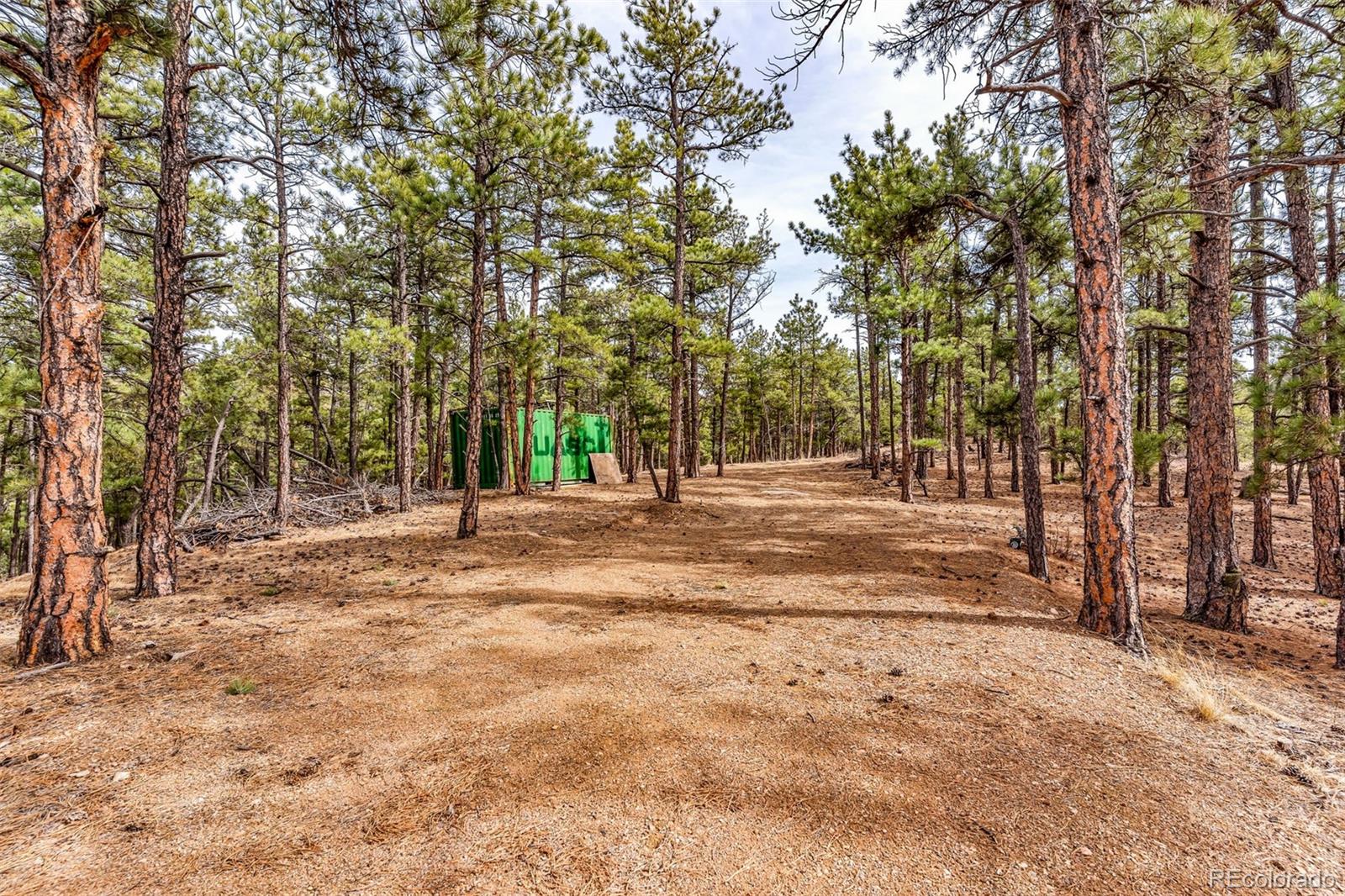 380 Buck Ridge Canon City CO 81212