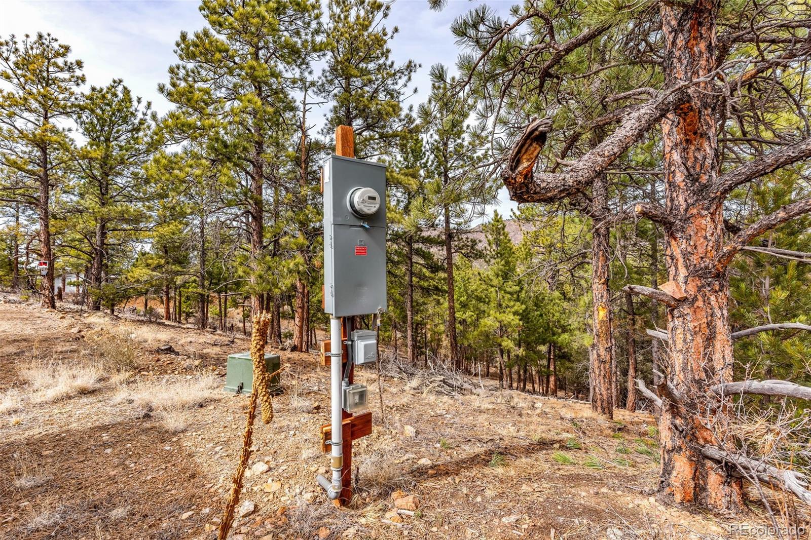 380 Buck Ridge Canon City CO 81212