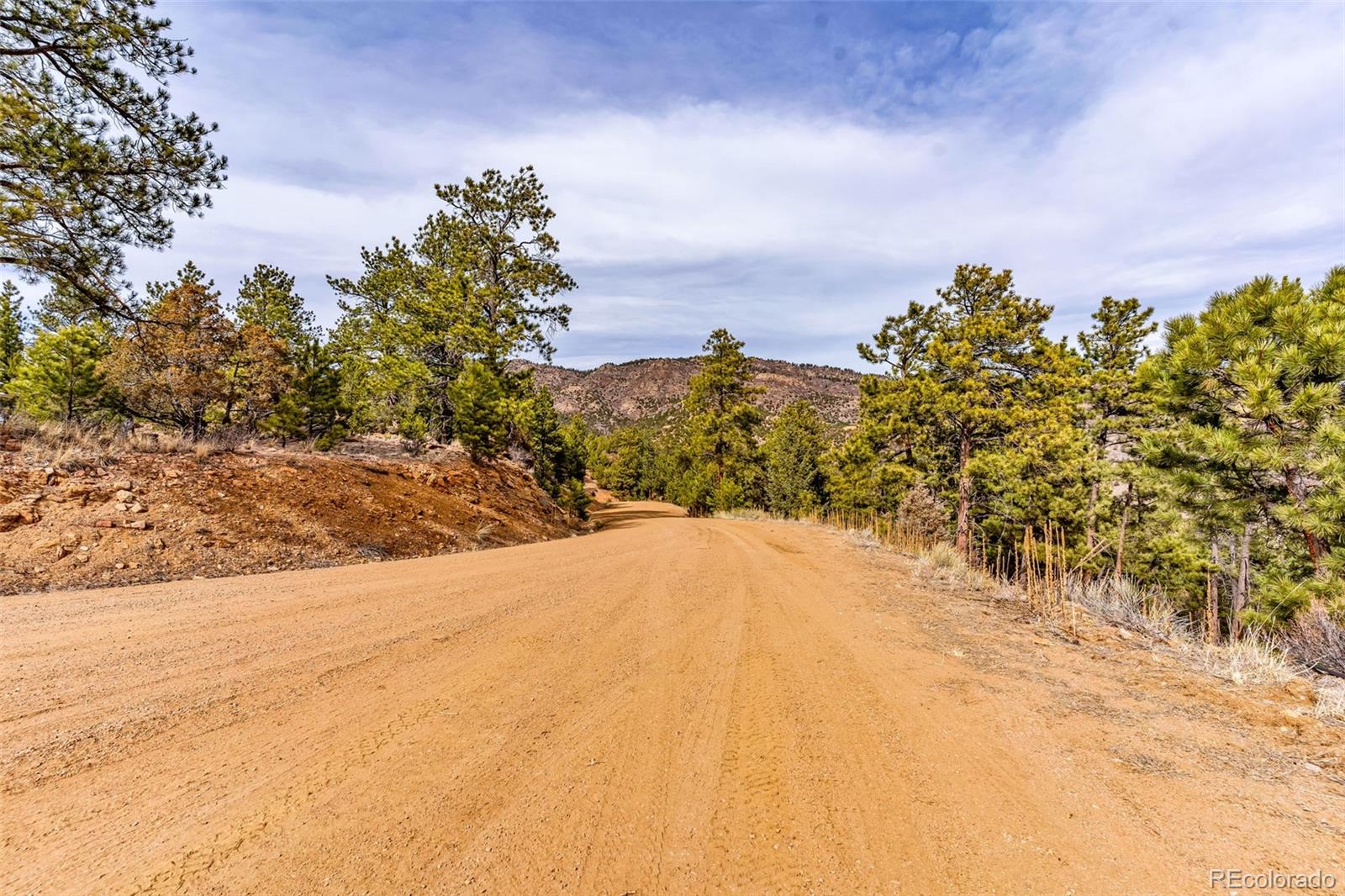 380 Buck Ridge Canon City CO 81212