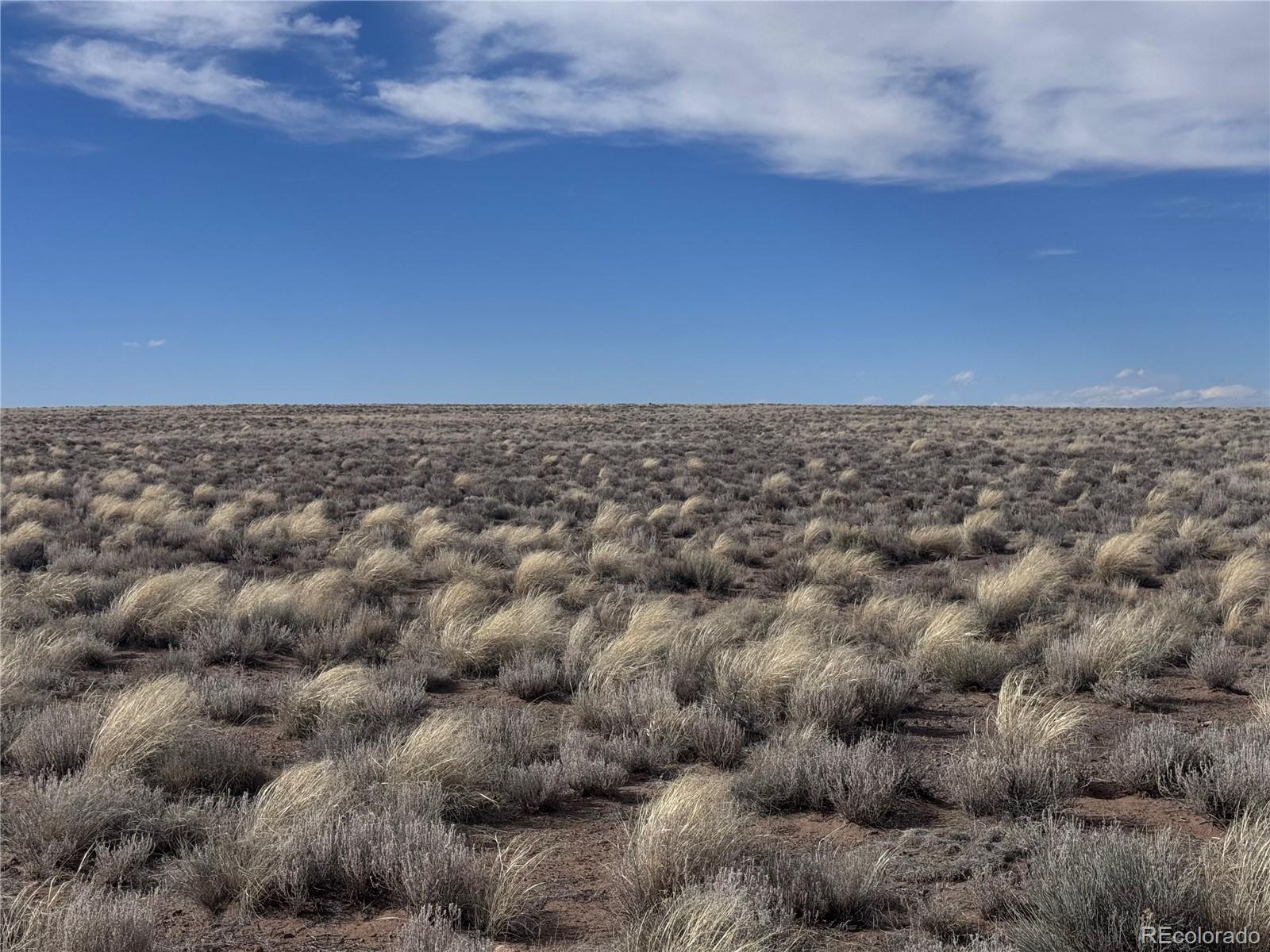 Lot 3 21st Street Blanca CO 81123