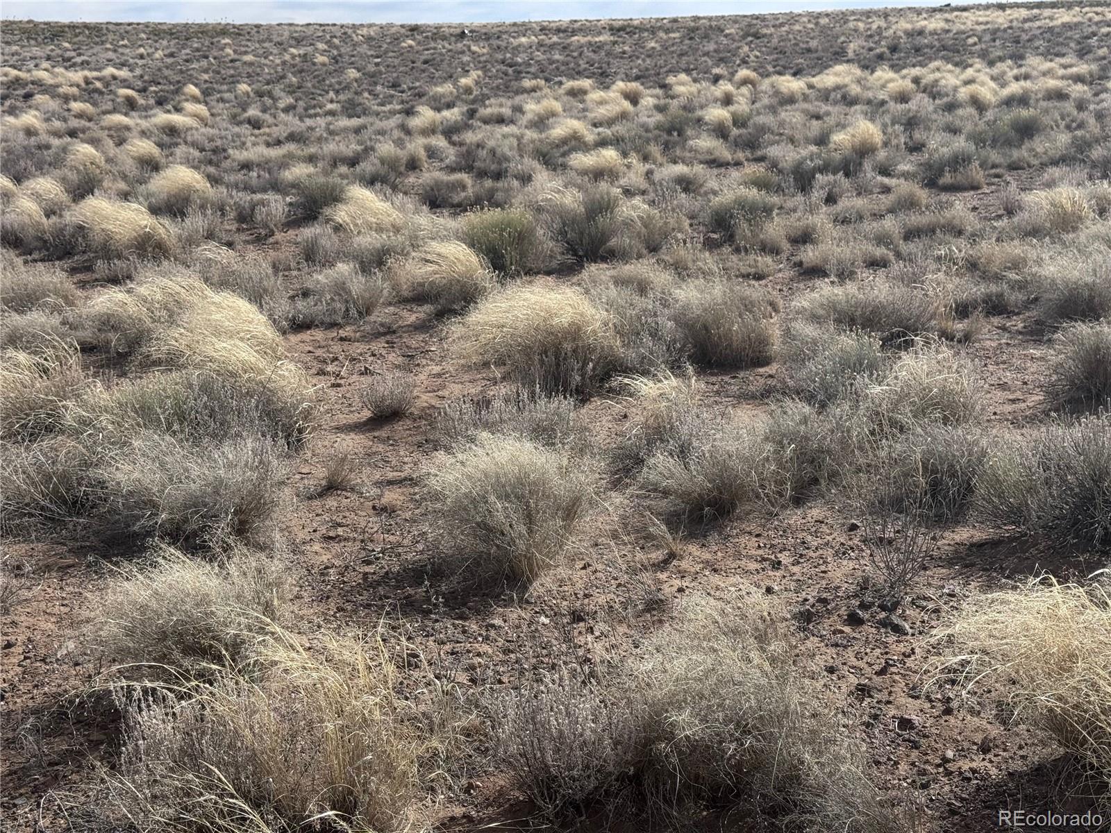 Lot 3 21st Street Blanca CO 81123
