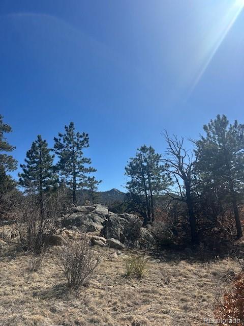 98 Discovery Drive Westcliffe CO 81252