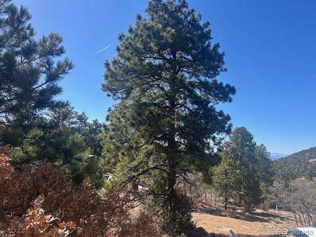 98 Discovery Drive Westcliffe CO 81252