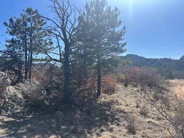 98 Discovery Drive Westcliffe CO 81252