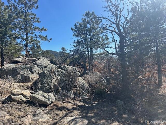 98 Discovery Drive Westcliffe CO 81252