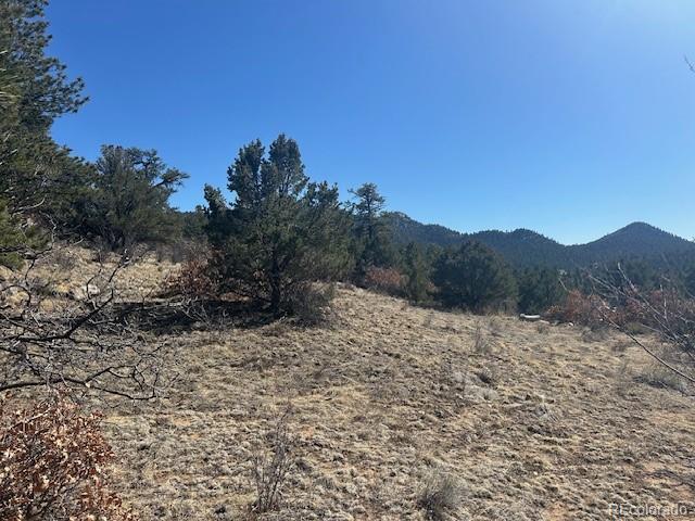 98 Discovery Drive Westcliffe CO 81252