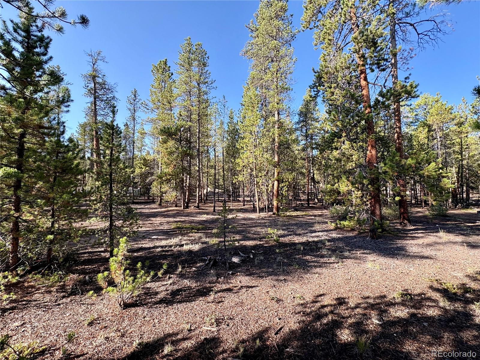 Tbd-lot 479 Birch Drive Twin Lakes CO 80461