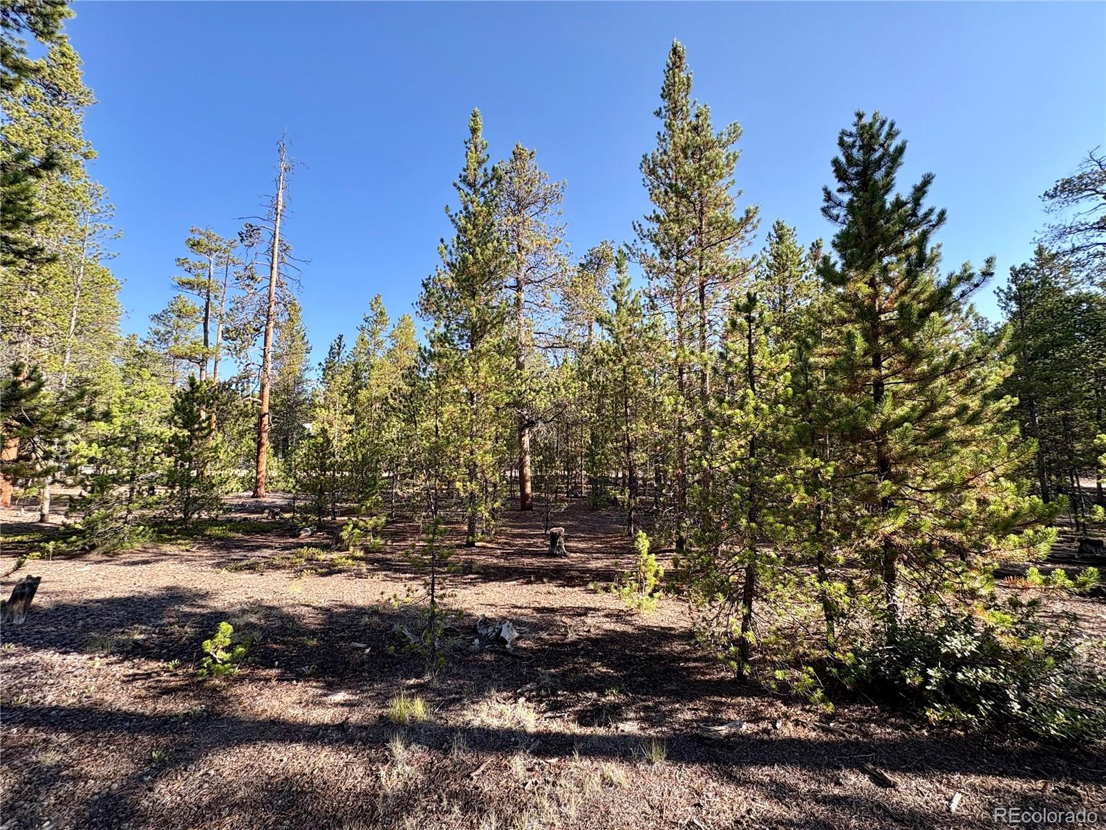 Tbd-lot 479 Birch Drive Twin Lakes CO 80461