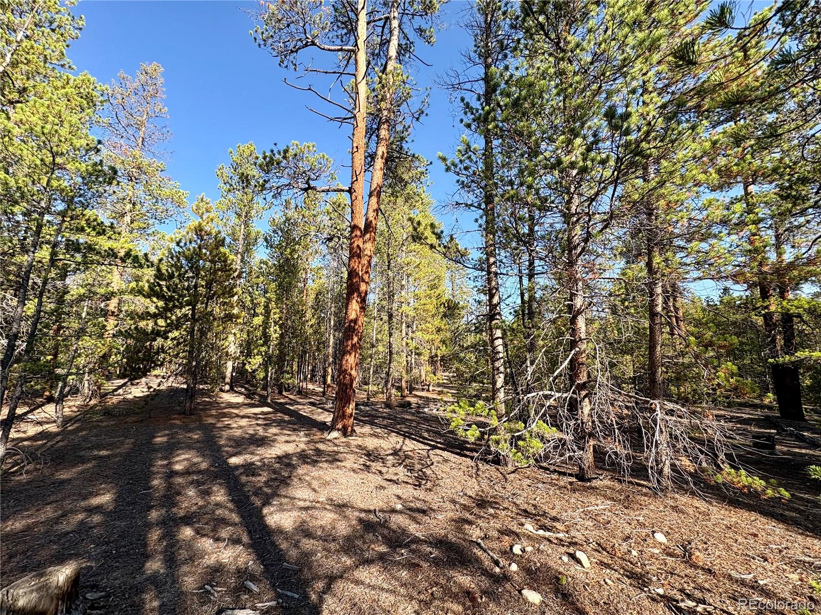 Tbd-lot 479 Birch Drive Twin Lakes CO 80461