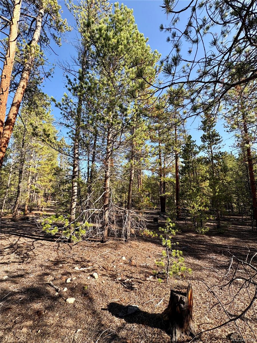 Tbd-lot 479 Birch Drive Twin Lakes CO 80461