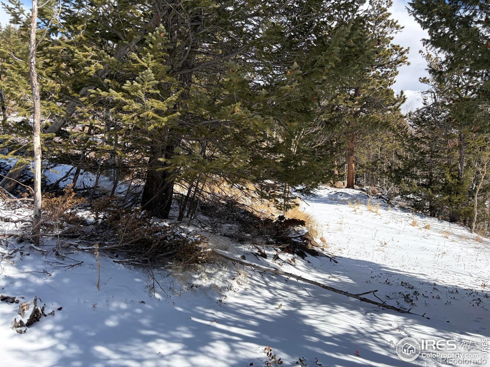 171 Spokane Court Red Feather Lakes CO 80545