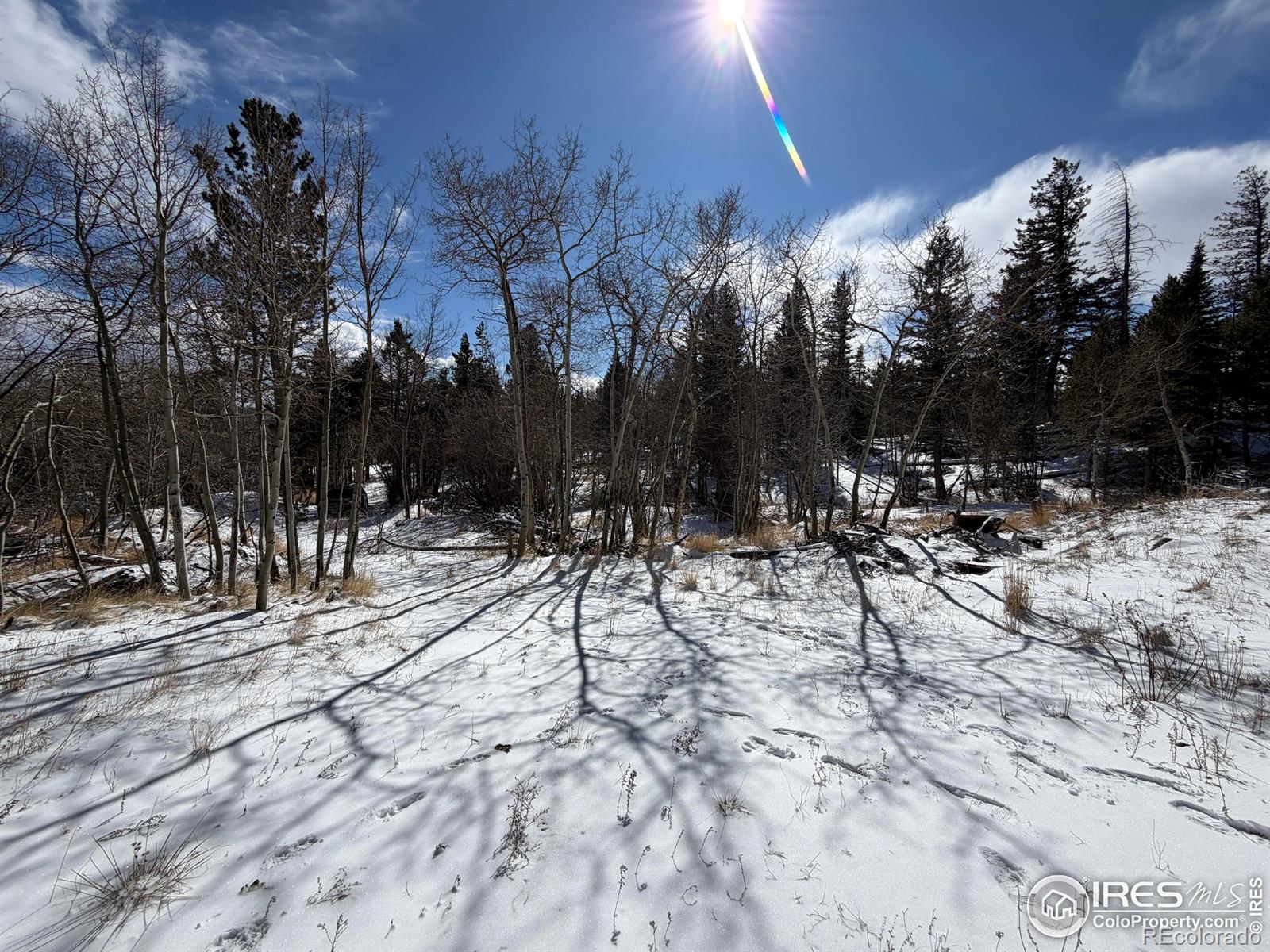 171 Spokane Court Red Feather Lakes CO 80545