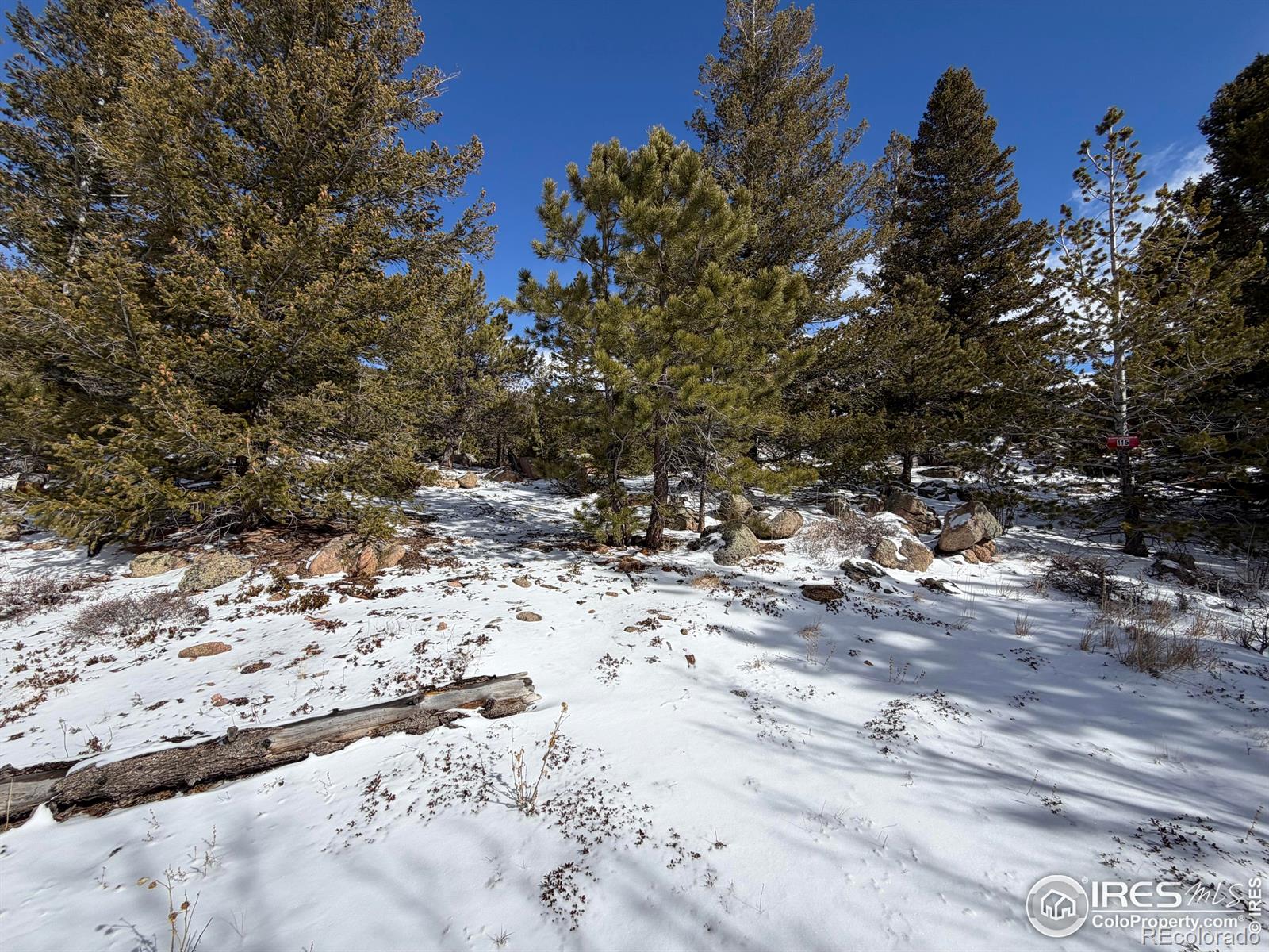 171 Spokane Court Red Feather Lakes CO 80545