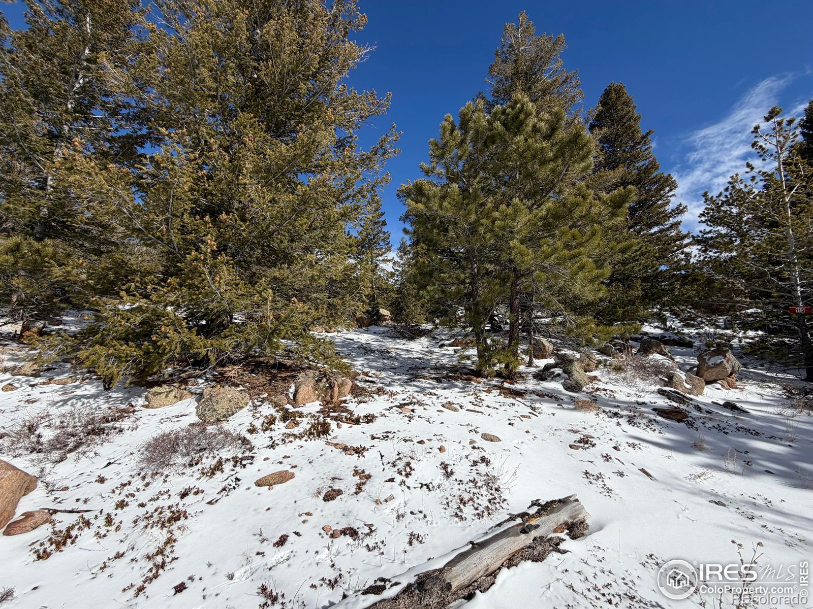 171 Spokane Court Red Feather Lakes CO 80545