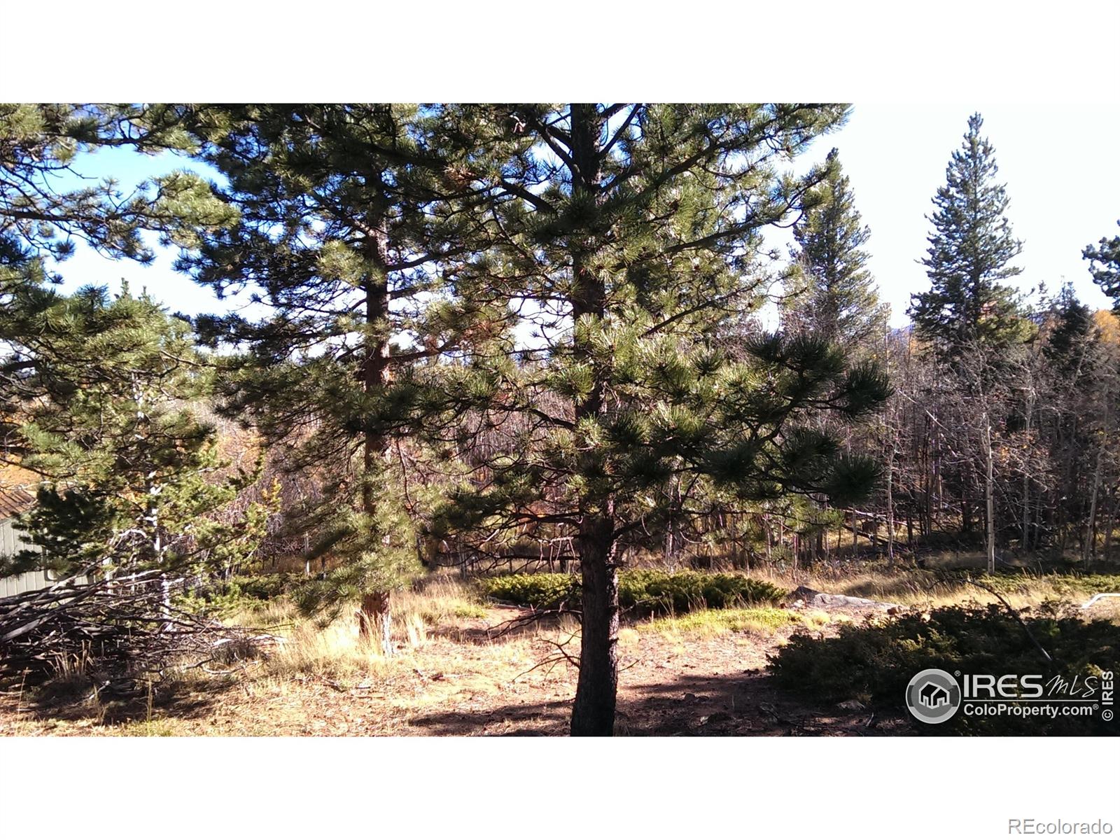 171 Spokane Court Red Feather Lakes CO 80545