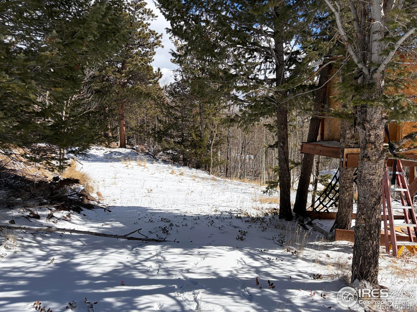171 Spokane Court Red Feather Lakes CO 80545