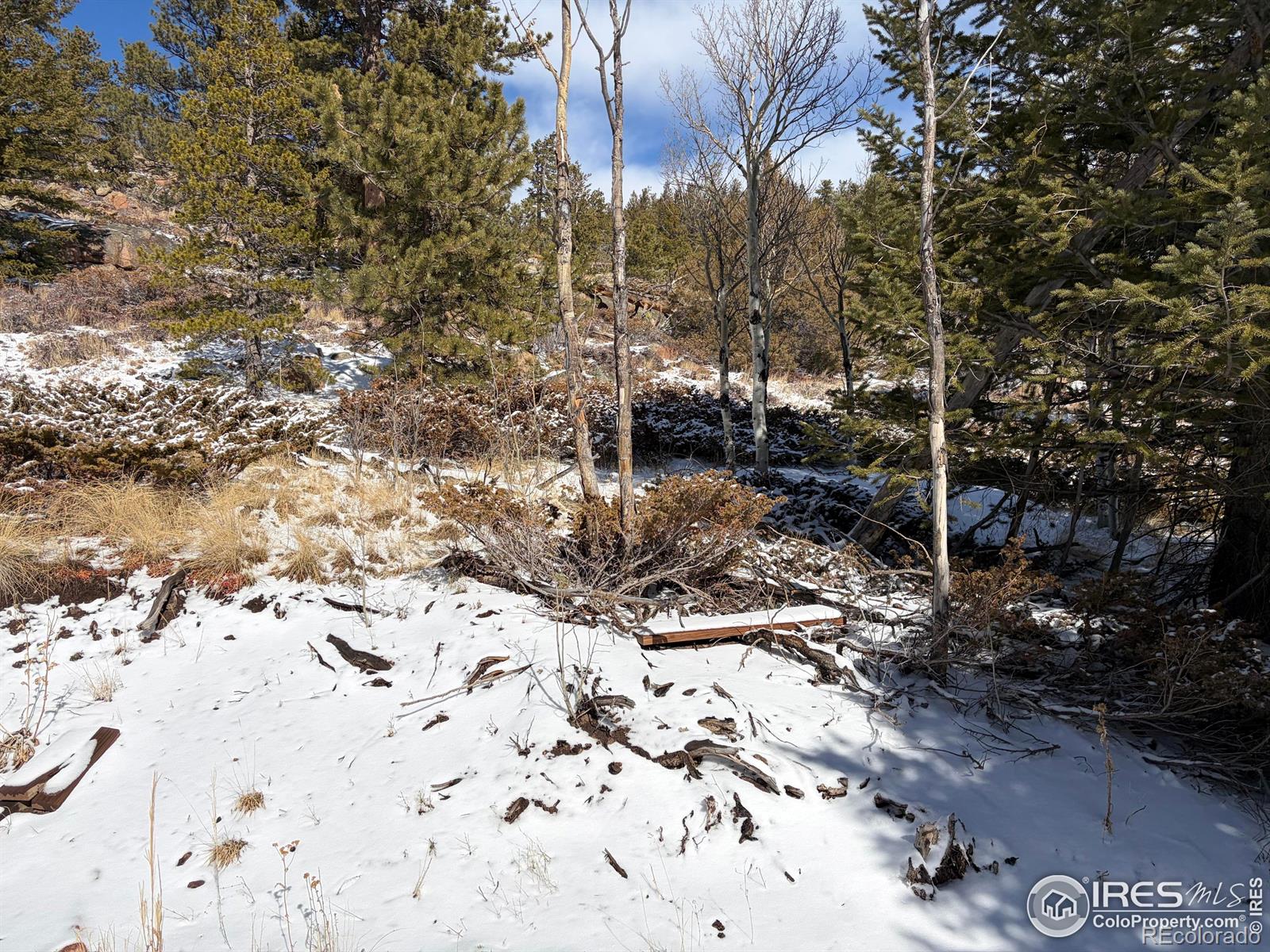 171 Spokane Court Red Feather Lakes CO 80545