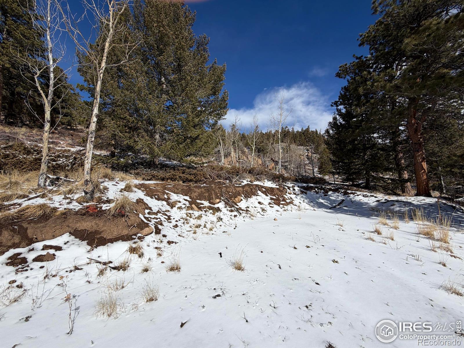 171 Spokane Court Red Feather Lakes CO 80545