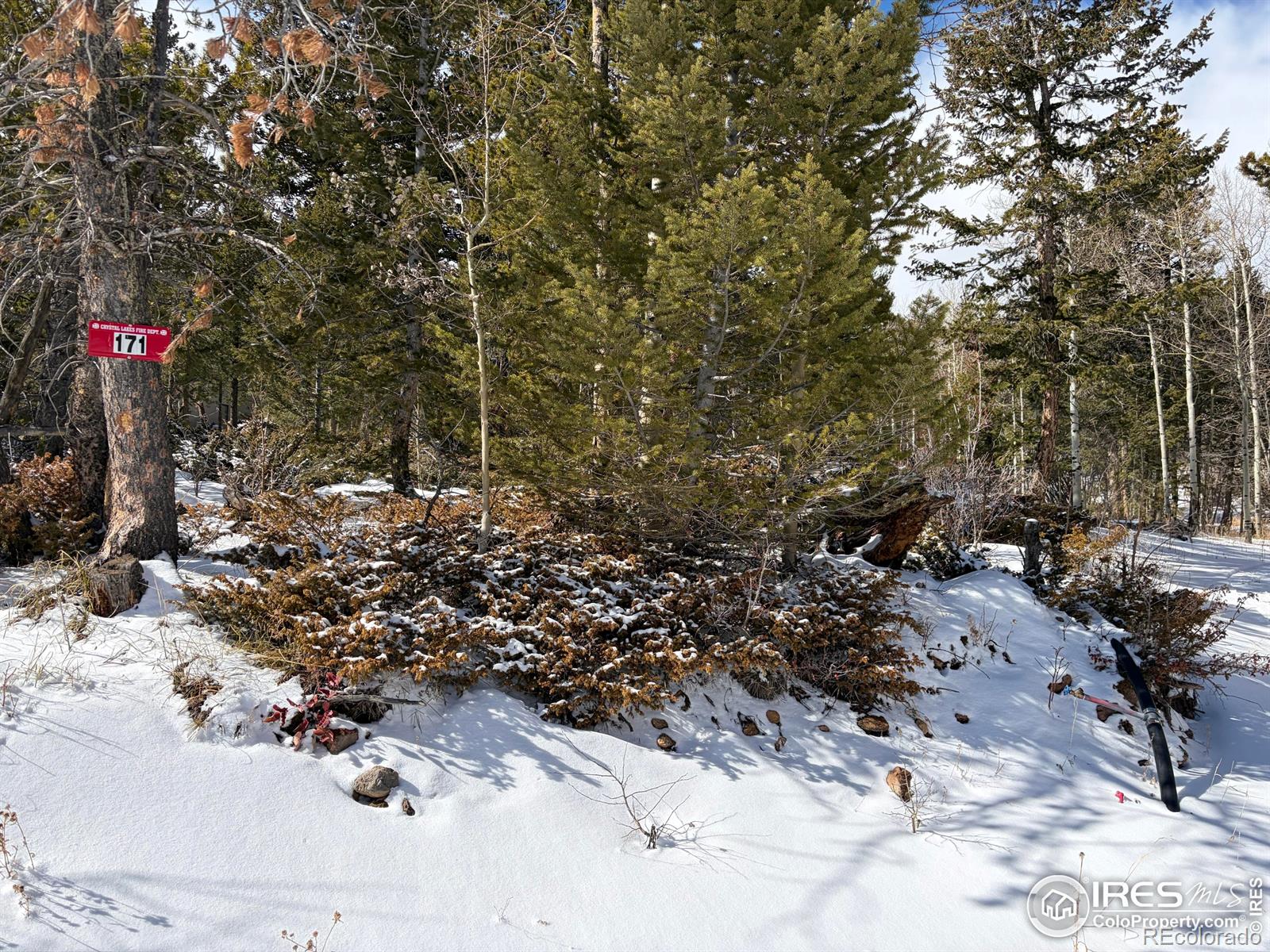 171 Spokane Court Red Feather Lakes CO 80545