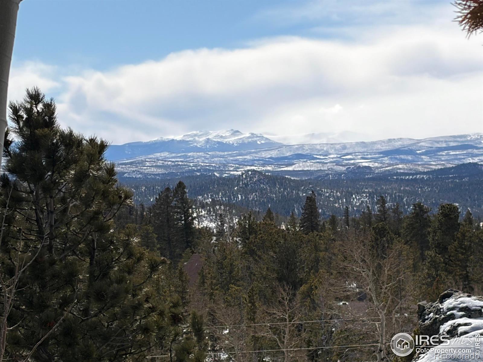 171 Spokane Court Red Feather Lakes CO 80545