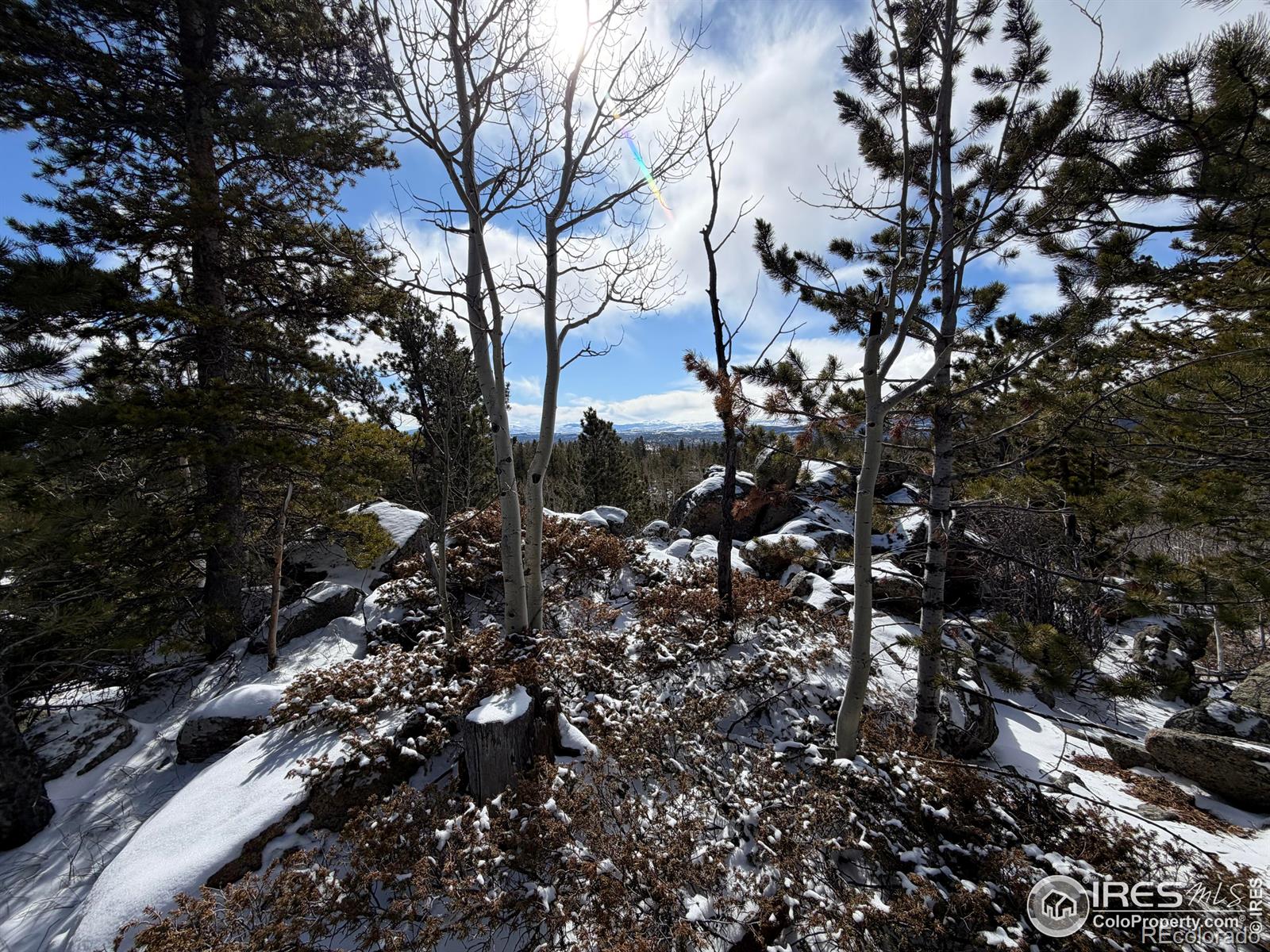 171 Spokane Court Red Feather Lakes CO 80545
