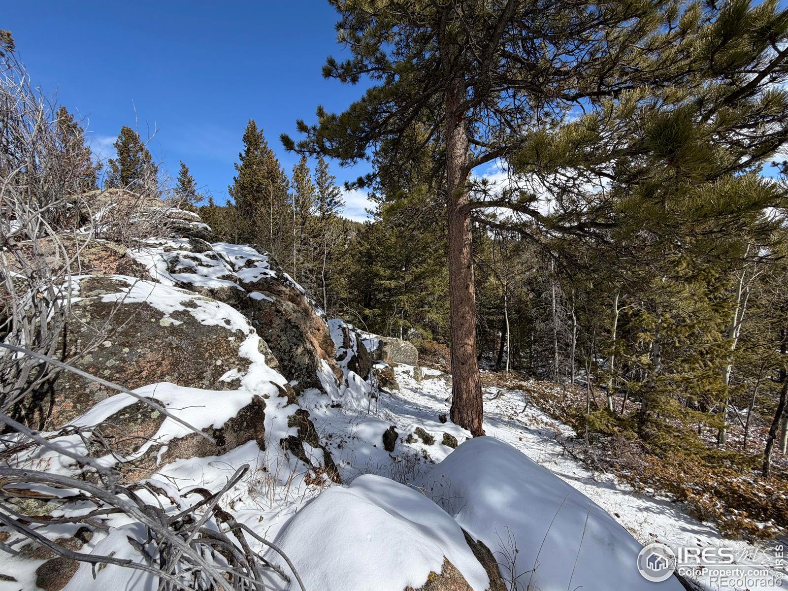 171 Spokane Court Red Feather Lakes CO 80545