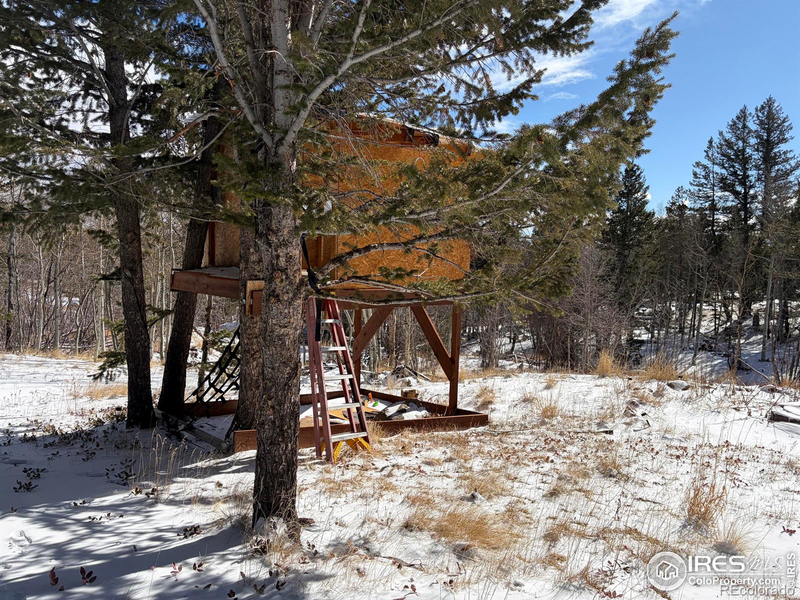 171 Spokane Court Red Feather Lakes CO 80545