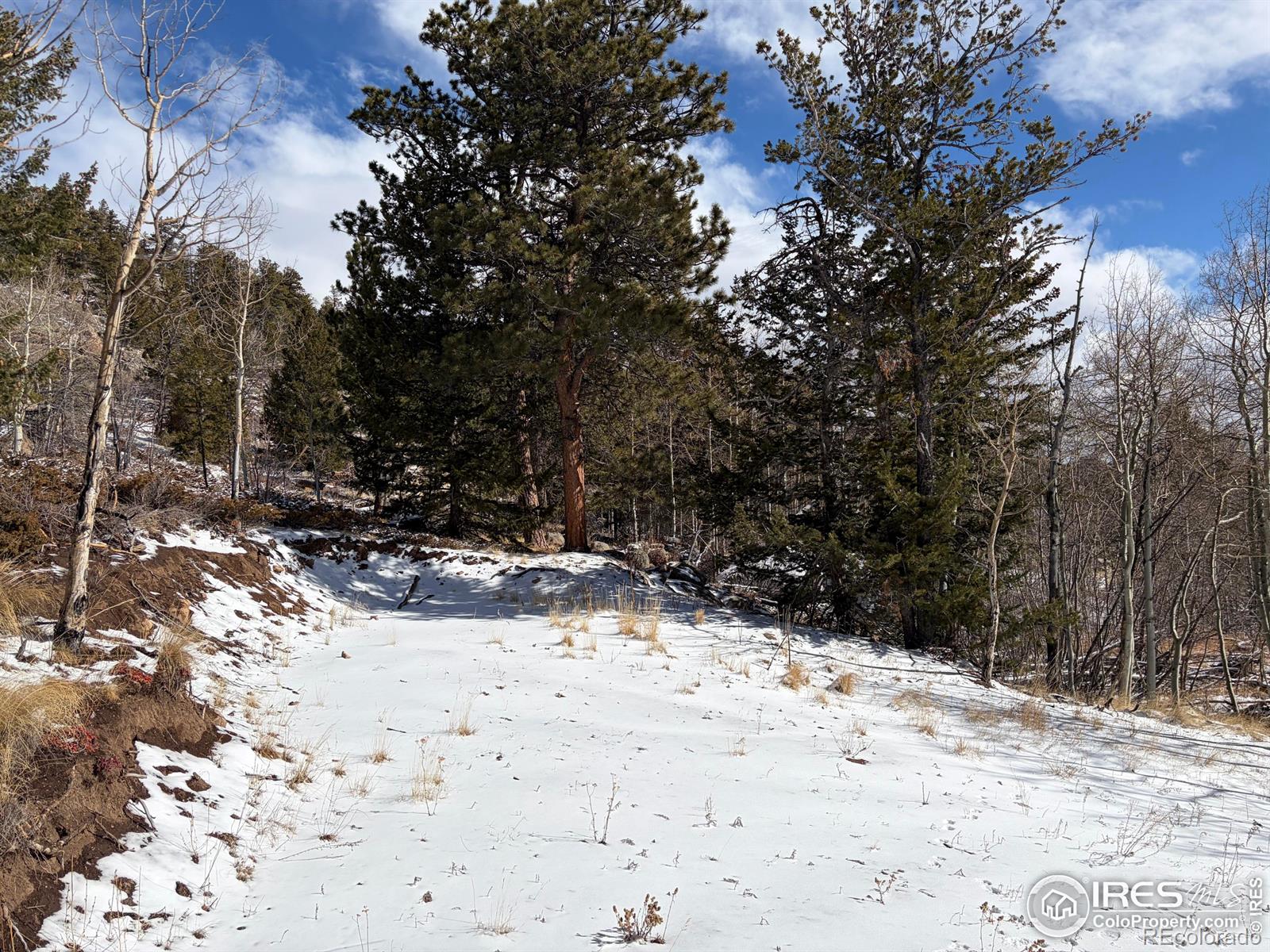 171 Spokane Court Red Feather Lakes CO 80545
