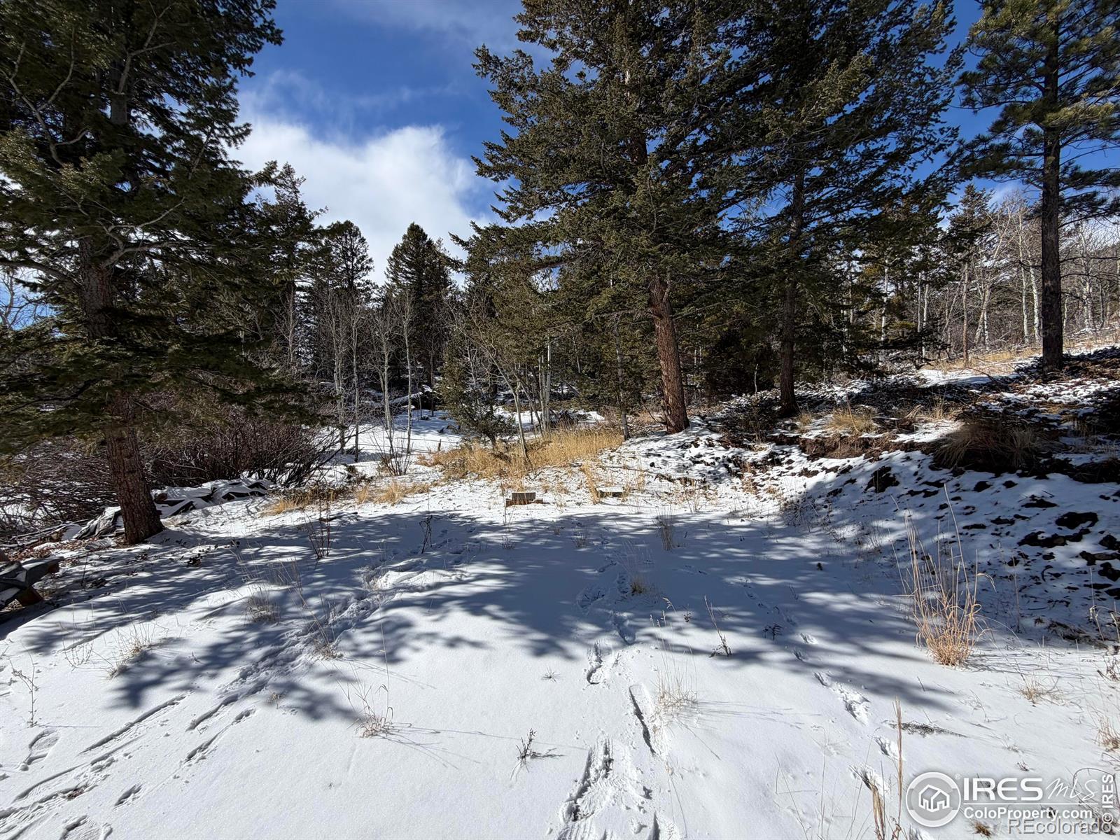 171 Spokane Court Red Feather Lakes CO 80545