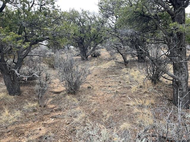 Lot 2087 Sandoval Road Fort Garland CO 81133