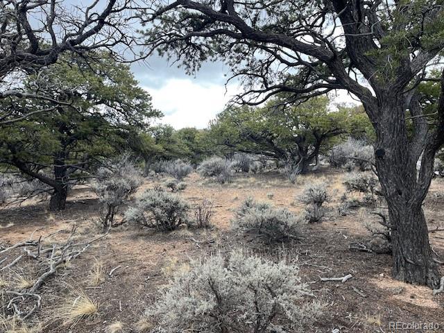 Lot 2087 Sandoval Road Fort Garland CO 81133