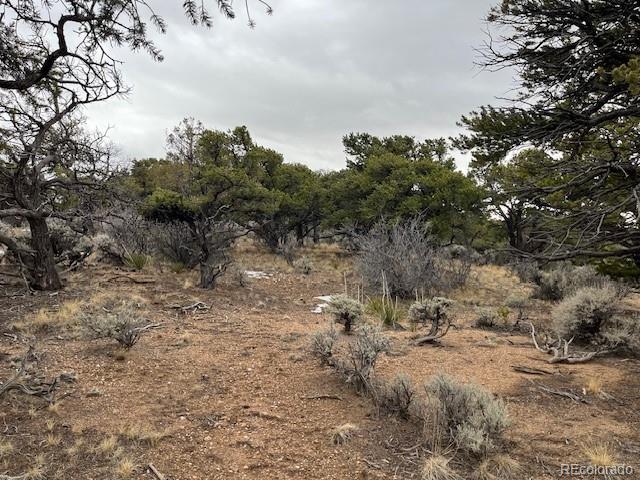 Lot 2087 Sandoval Road Fort Garland CO 81133