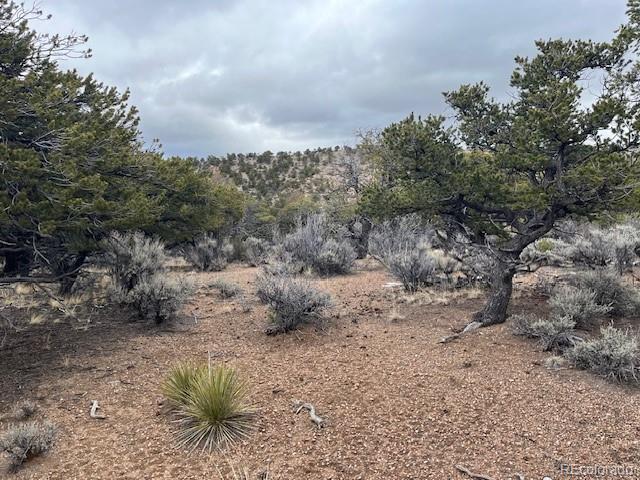 Lot 2087 Sandoval Road Fort Garland CO 81133