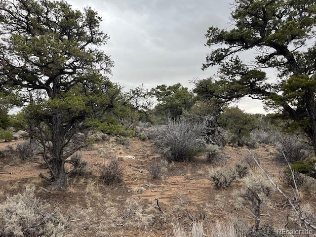 Lot 2087 Sandoval Road Fort Garland CO 81133