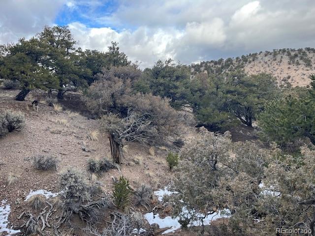 Lot 2087 Sandoval Road Fort Garland CO 81133