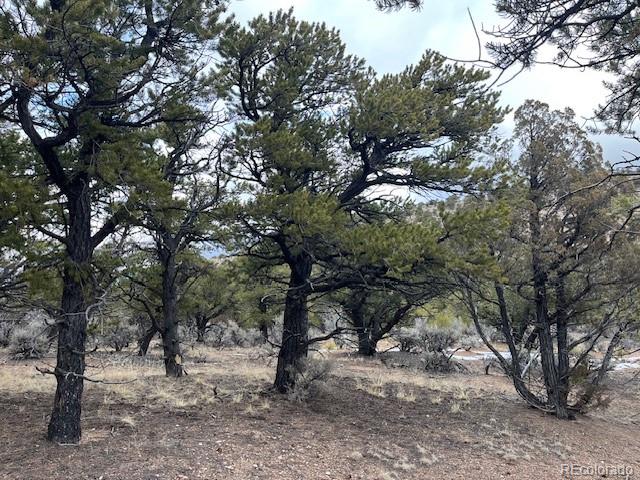 Lot 2087 Sandoval Road Fort Garland CO 81133