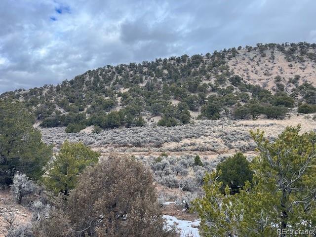 Lot 2087 Sandoval Road Fort Garland CO 81133