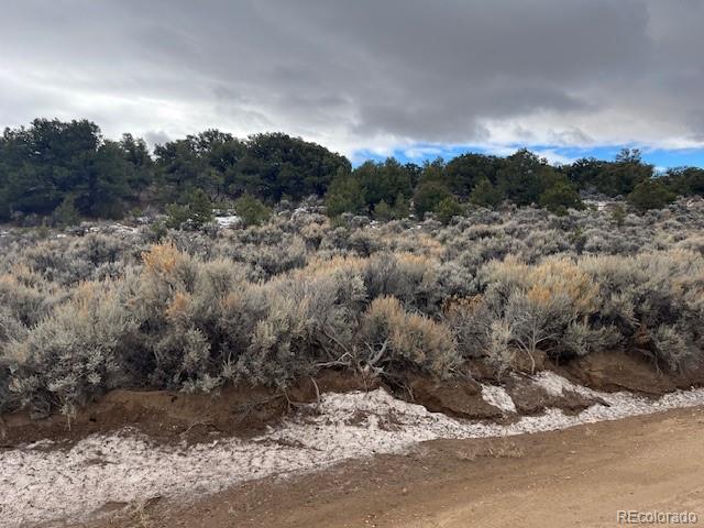 Lot 2087 Sandoval Road Fort Garland CO 81133