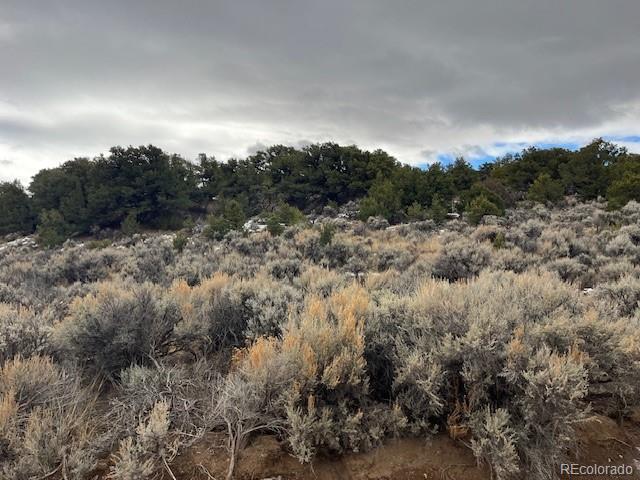 Lot 2087 Sandoval Road Fort Garland CO 81133