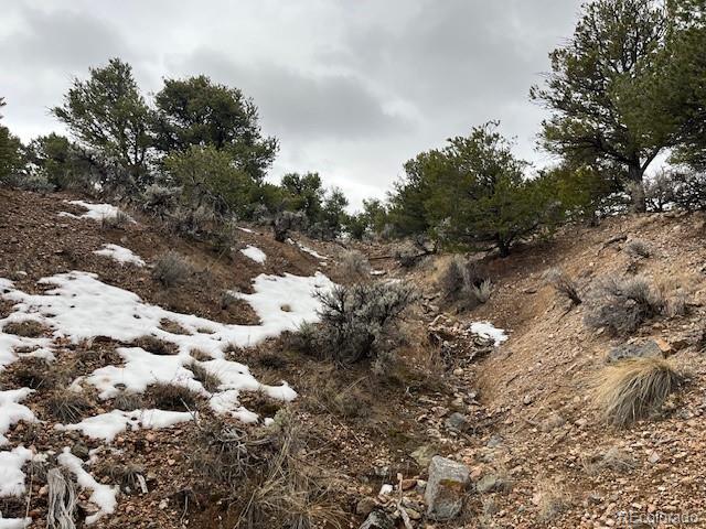 Lot 2087 Sandoval Road Fort Garland CO 81133