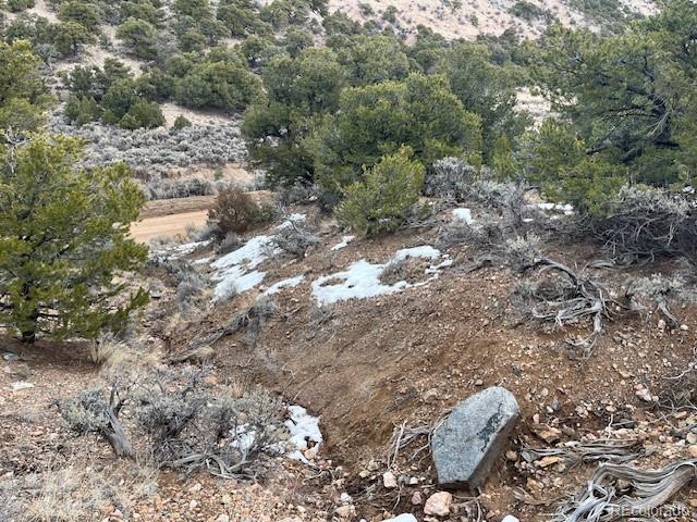 Lot 2087 Sandoval Road Fort Garland CO 81133