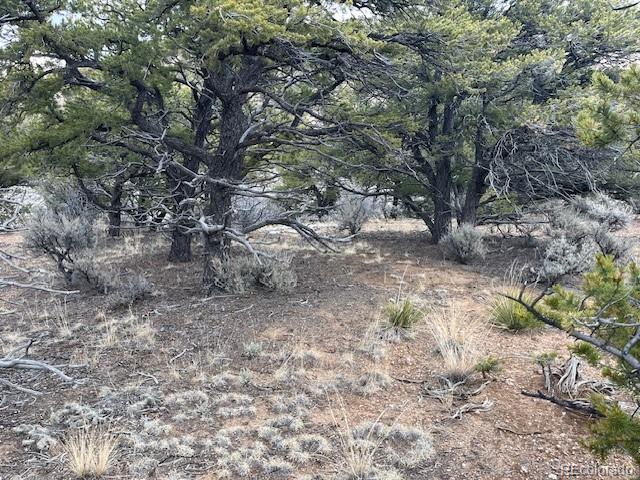 Lot 2087 Sandoval Road Fort Garland CO 81133