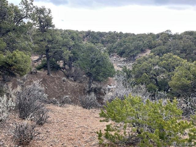Lot 2087 Sandoval Road Fort Garland CO 81133